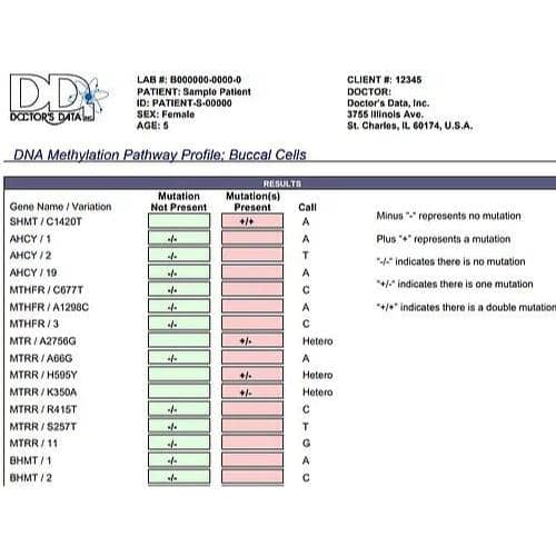 DNA Methylation Test Kit - Buccal Swab - Doctor's Data Analysis